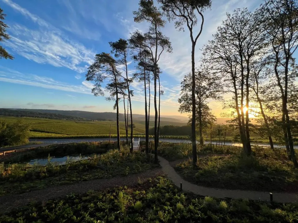 LOISIUM Wine & Spa Hotel Champagne