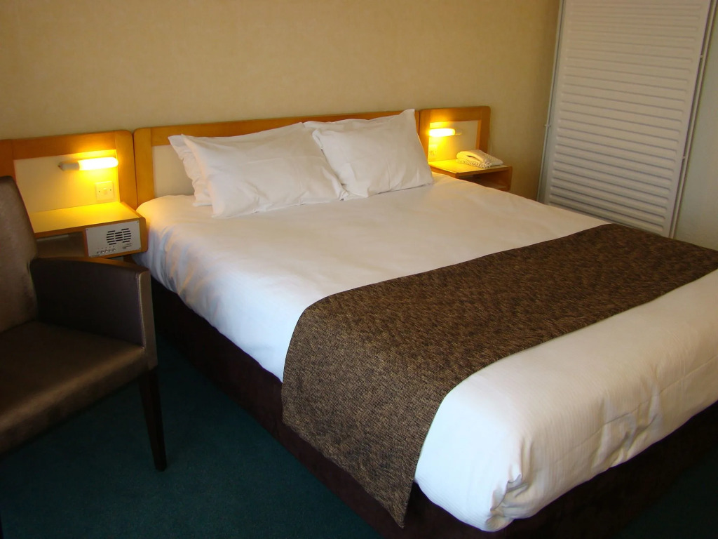 Brit Hotel du Lac