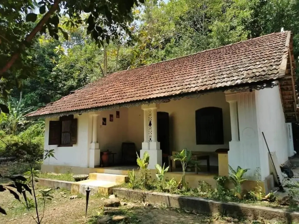 Jungle house