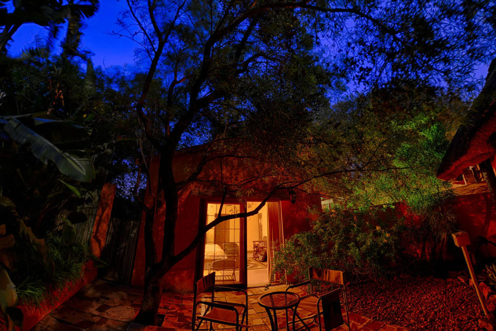 Last Word Madikwe