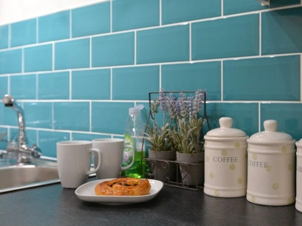 Edinburgh City Centre Apartment Fountainbridge