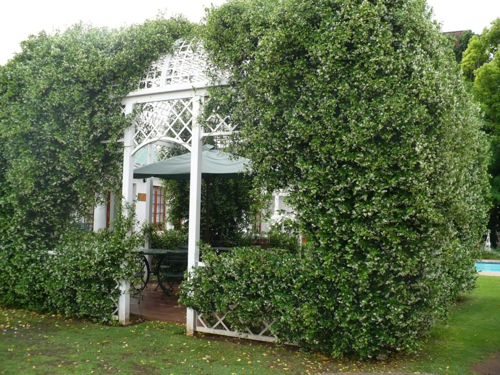 A Tapestry Garden Guest House