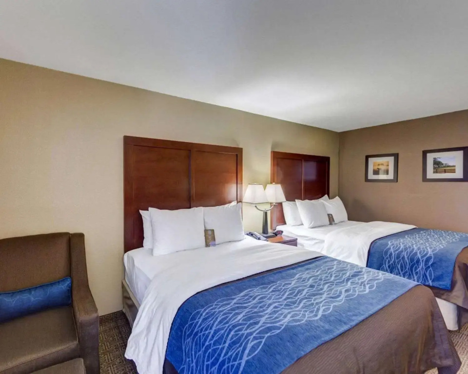 Comfort Inn and Suites Plano East