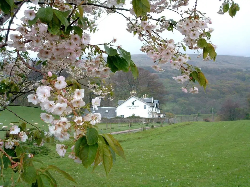 The Colintraive