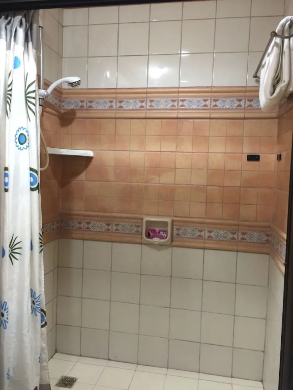 1 Br Robinsons Place Manila - Rpr 09