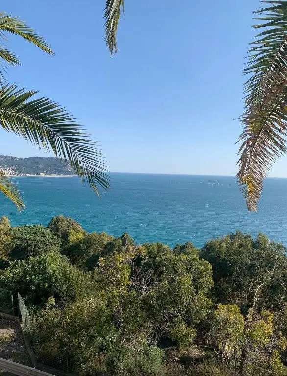Bellissima Cervo