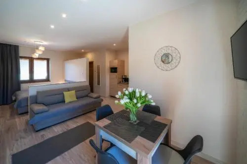 PRZY TERMACH apartamenty, pokoje - podgrzewany basen, hydromasaż i tylko 70m Termy