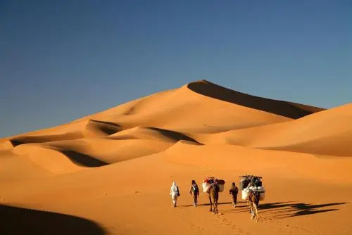 Bivouac Maroc Désert Zagora