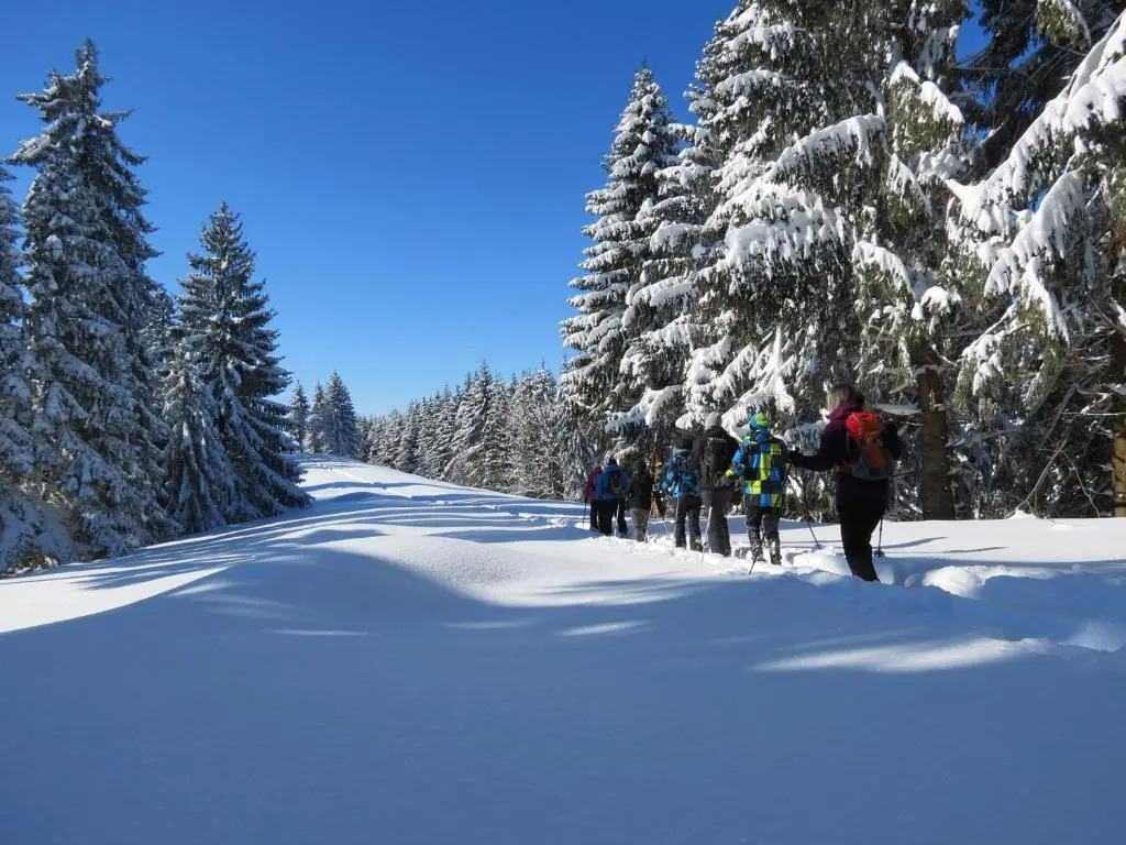 Schöne EinZimmer Wohnung Zwischen Bodensee und Allgäu