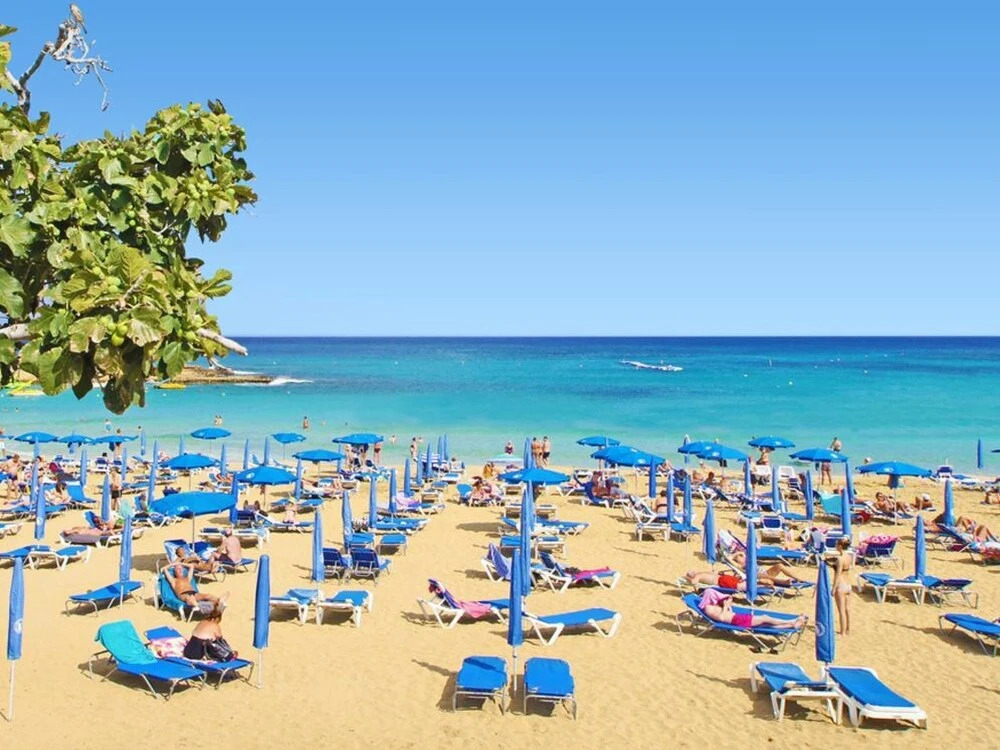 Arcadia Paralimni in Paralimni