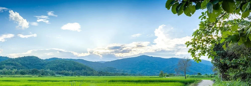 Baan Sin Suk