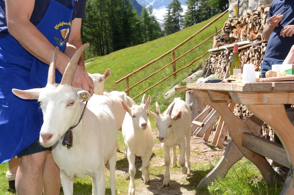 Hotel Bacher