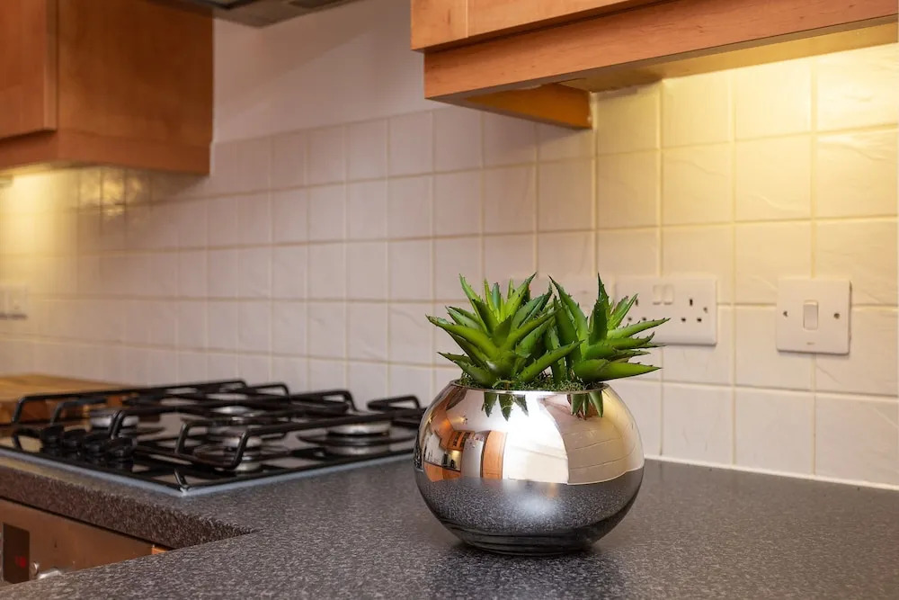 1 Bedroom Flat in South London
