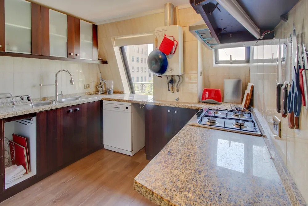 Departamento Lujoso En Providencia