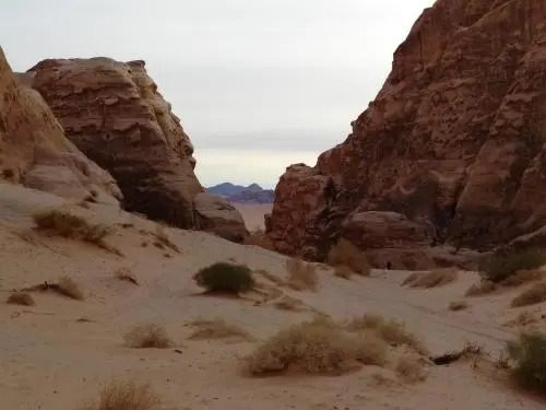 Go bedouin camp