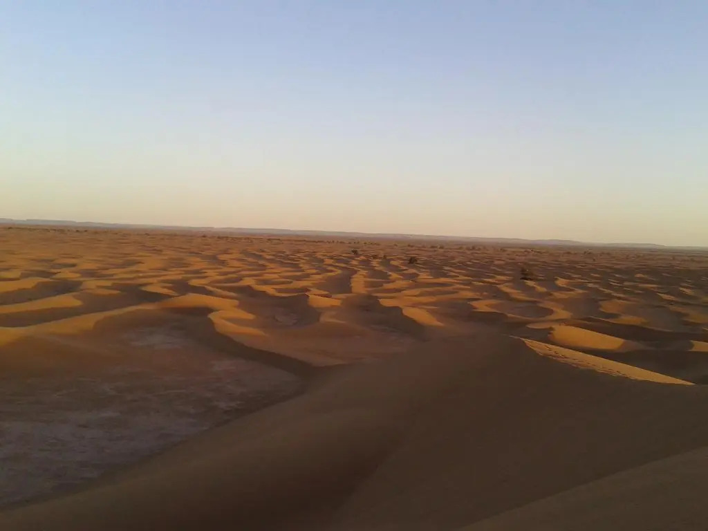 Bivouac Desert Sahara