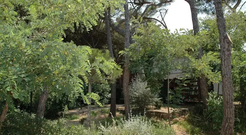 Camping Pionier Etrusco