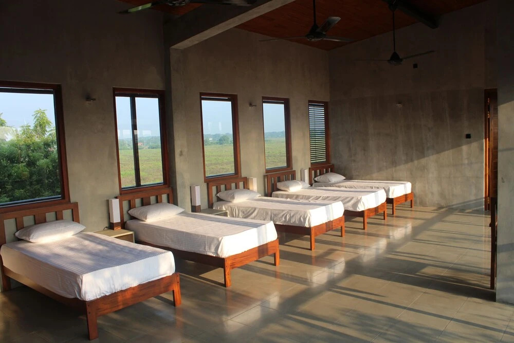 Tree Tops Yala