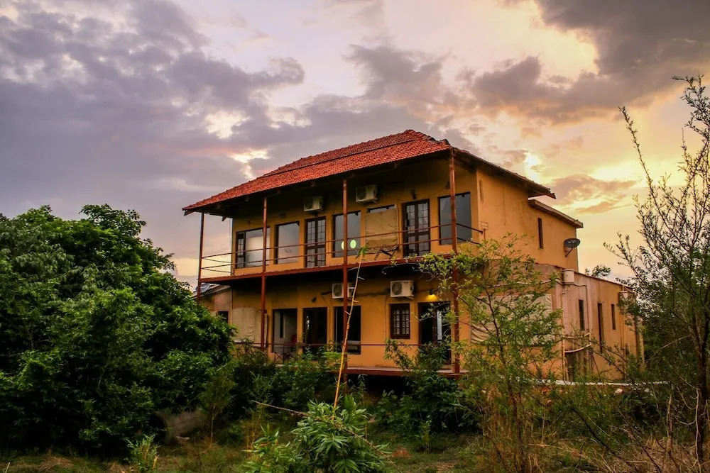 Mahua Tola Tadoba