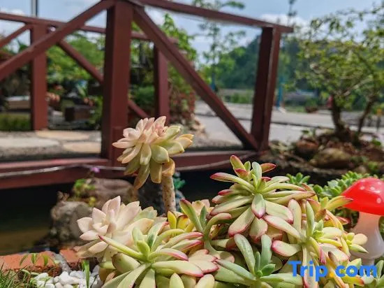 Yunqi Danxia Riverside Vacation Apartment (Danxiashan Scenic Area)