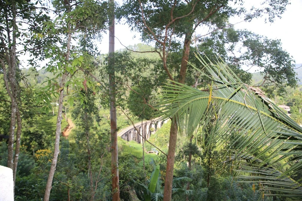 9 Arch view rest inn