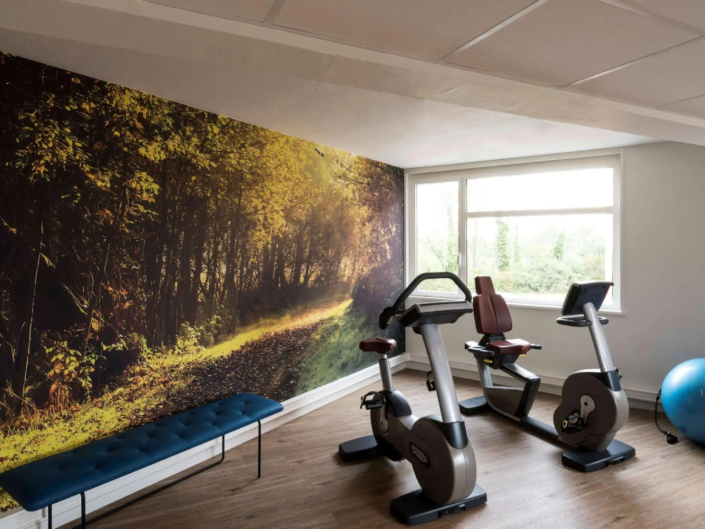 Novotel Lyon Bron