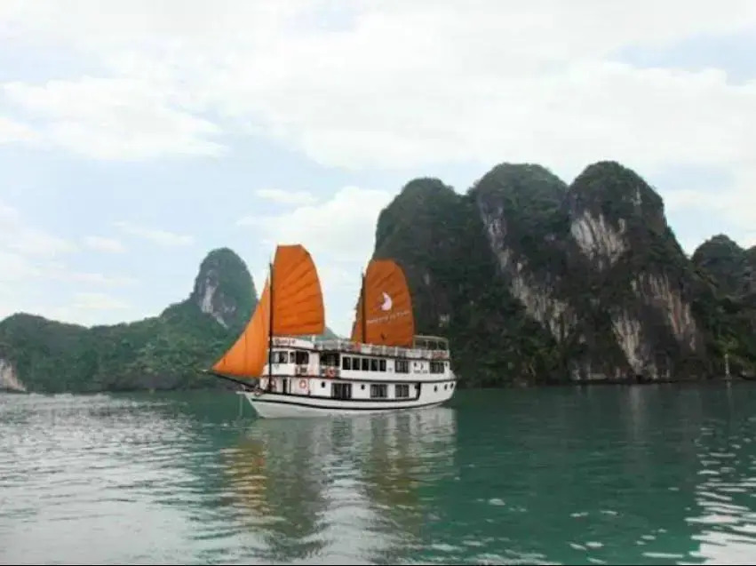Phoenix Luxury Cruise