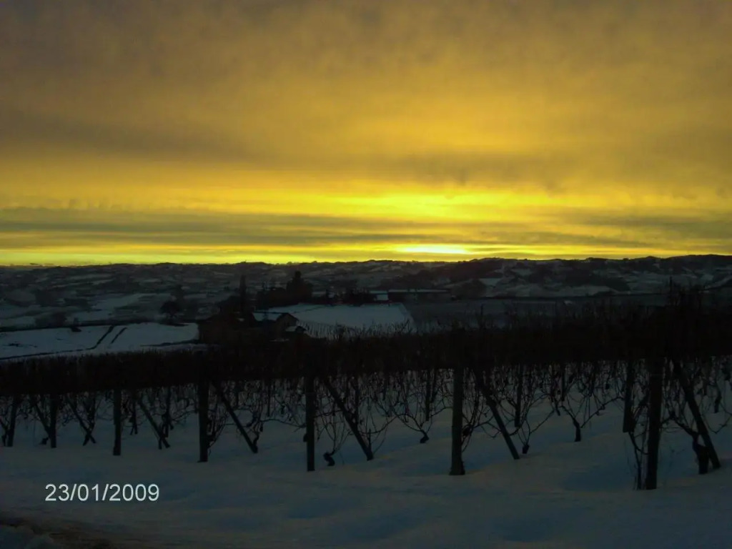 Rosso Di Sera