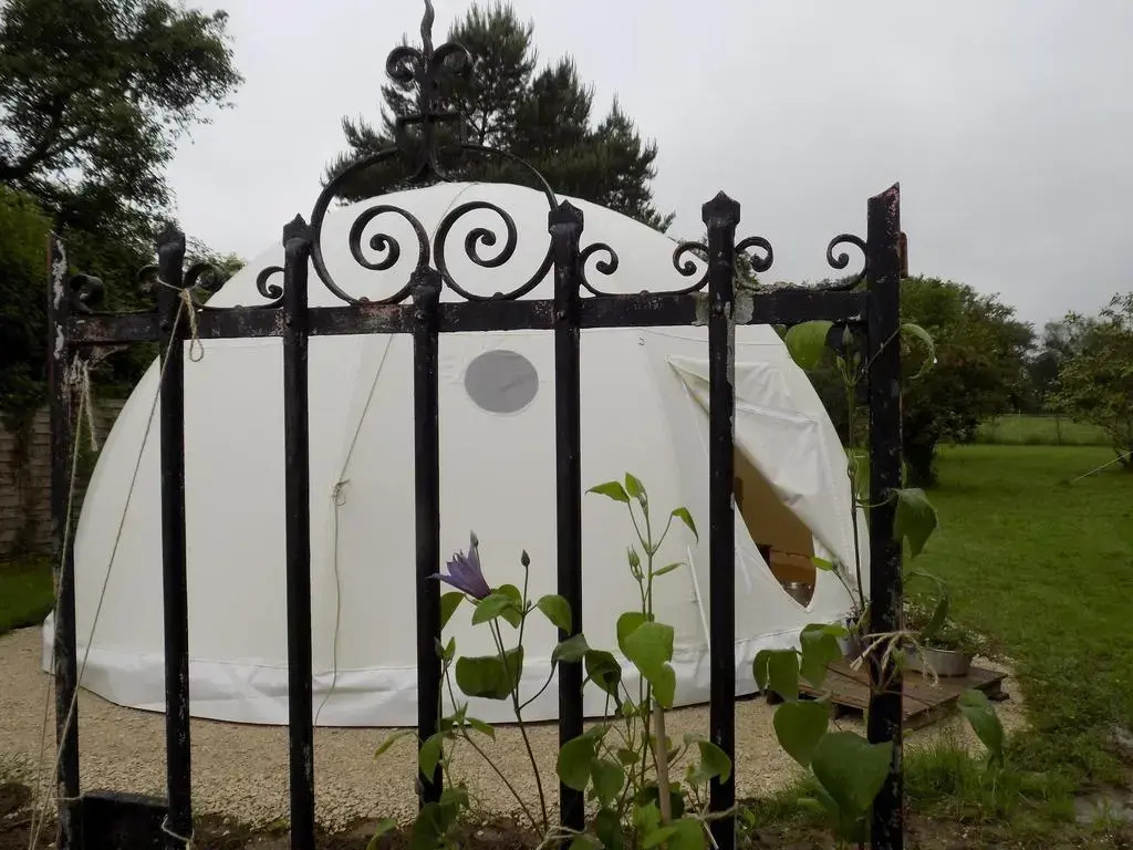 La chouette étoilée