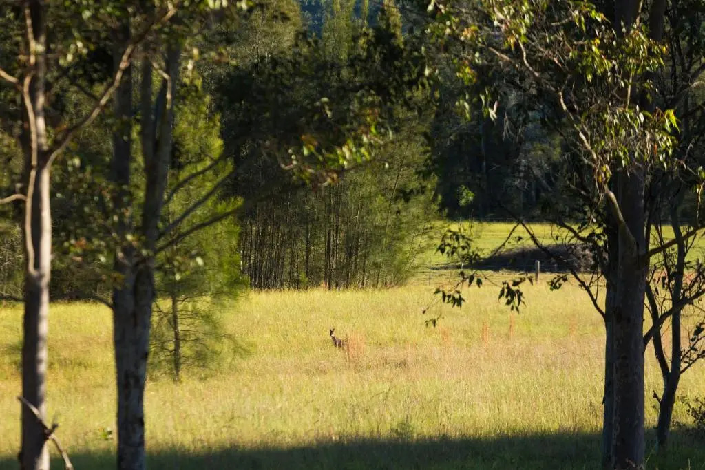 Windsors Edge Cottage Pokolbin