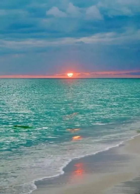 Amazing 1br apartment with pool, Hallandale Beach!