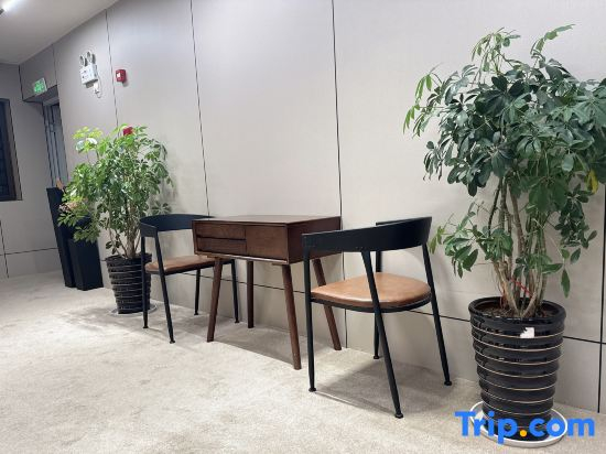 Ruili Yijing Homestay (Nongmo Lake Park)