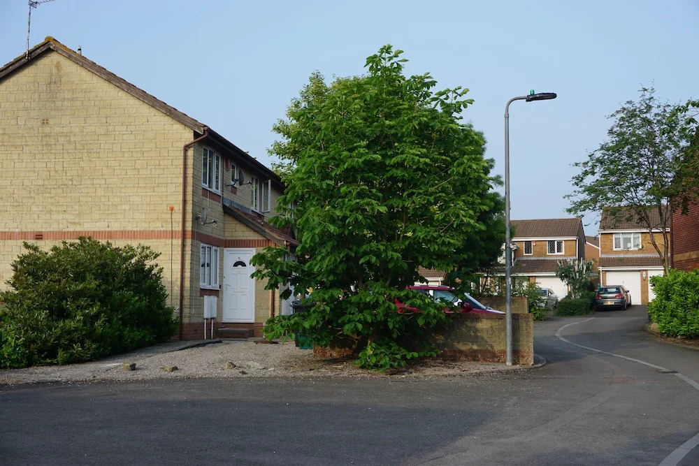 Holt Apartment