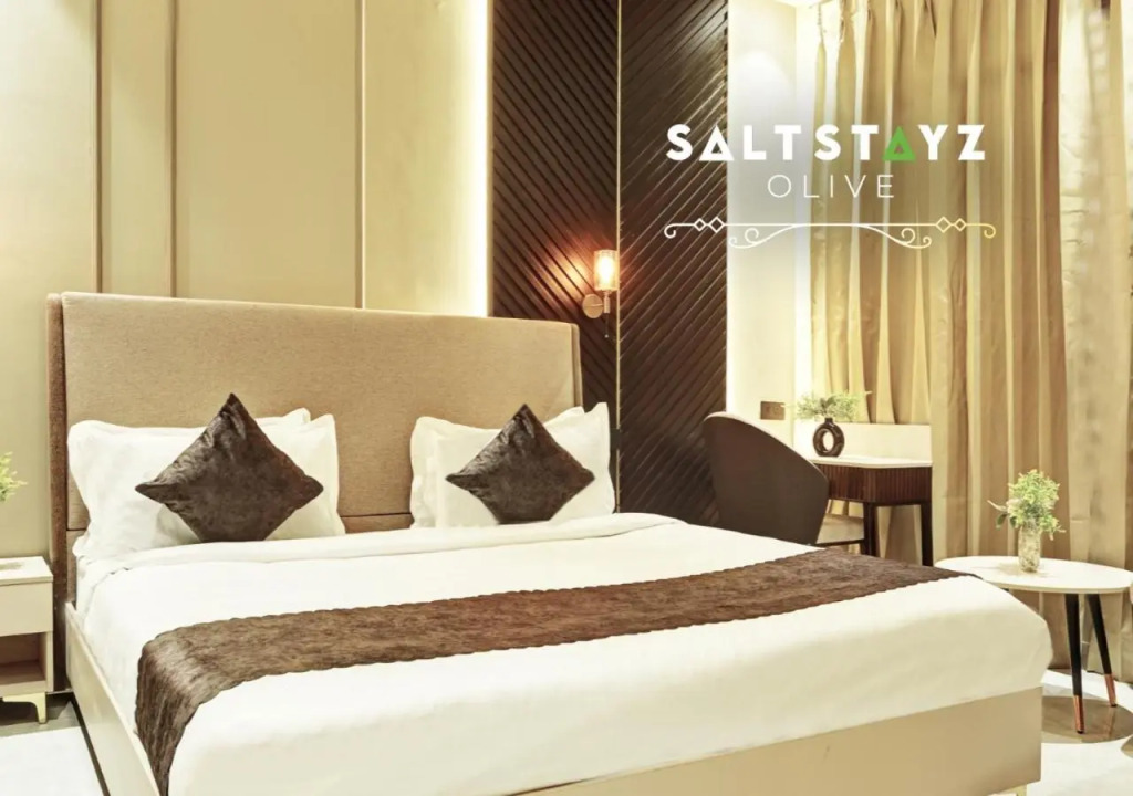 Saltstayz Select - Pitampura