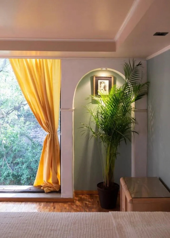 Casa Lulú Coyoacán
