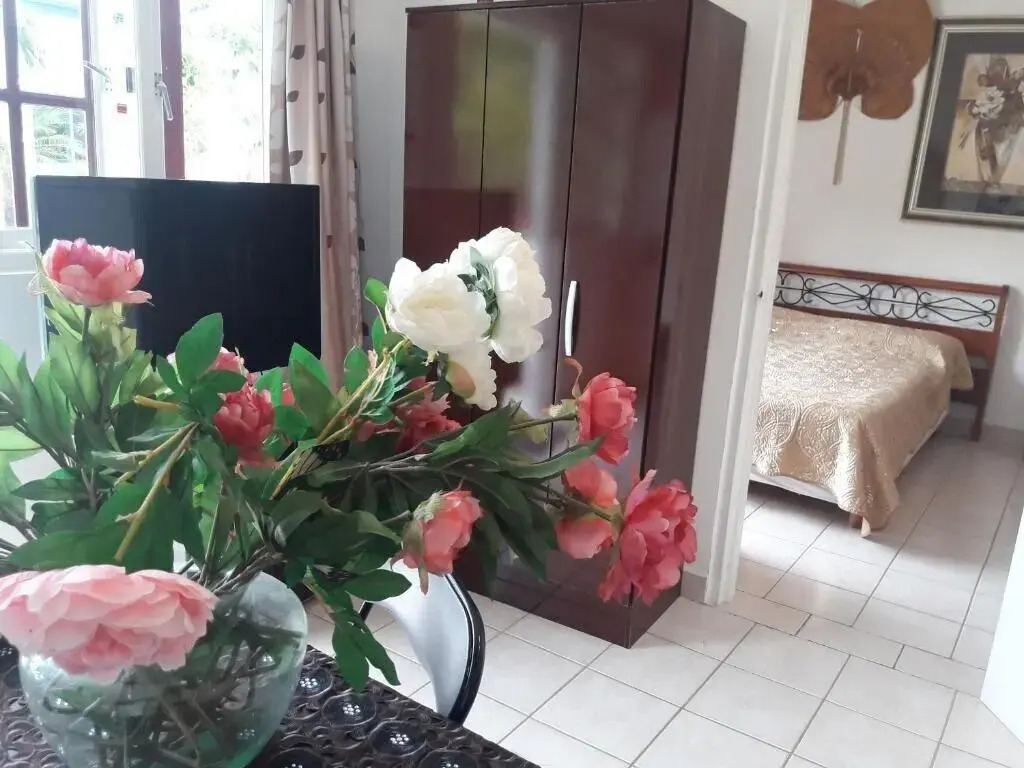 Palmitas Hostel with tropical garden & pool