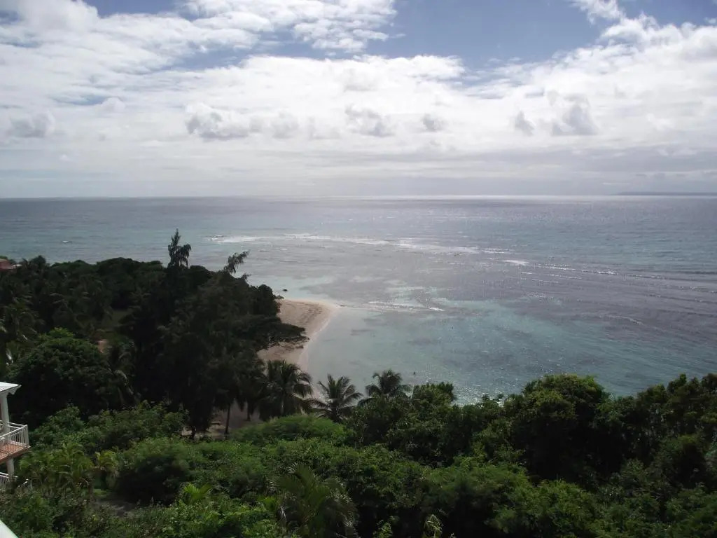 L'oiseau du Paradis Studio