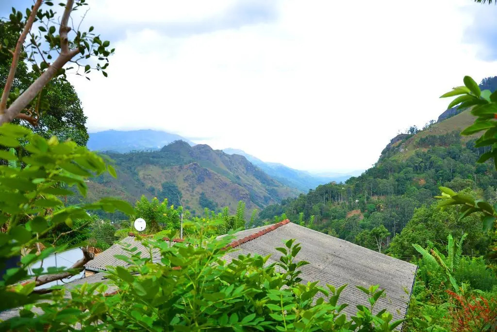Paraiso Guest House