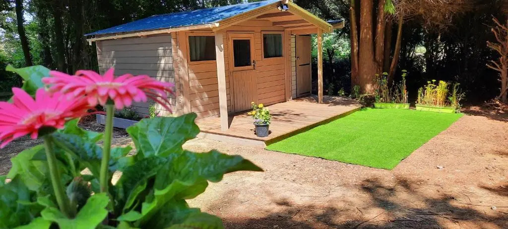 Cabane 5km Etretat (Adults Only)