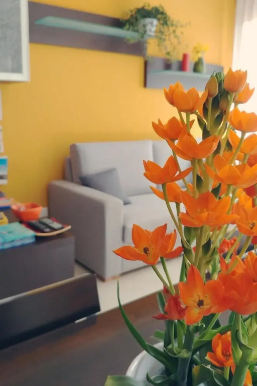 Bed & Breakfast Tiziana
