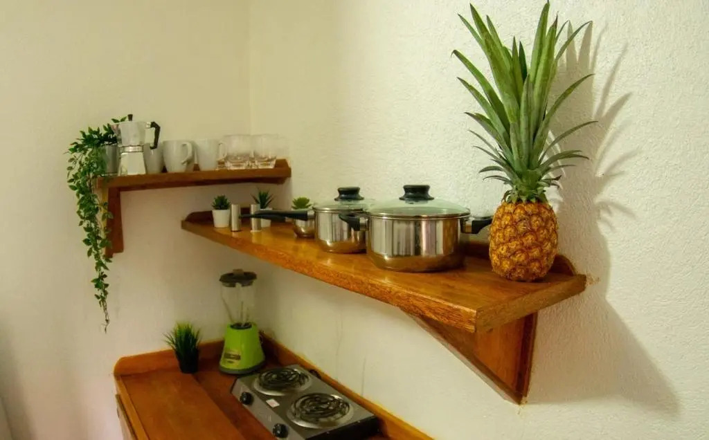 El jardín del coco, apartamento 14 - near La Playita beach