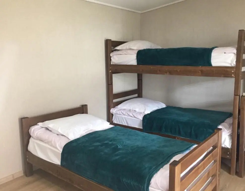Arshaura Apartment near Kazbegi