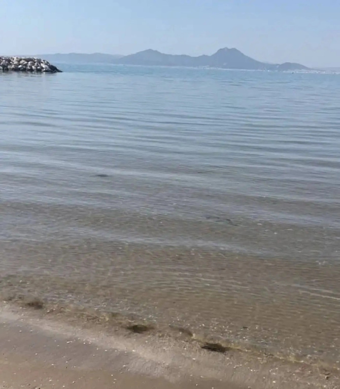 The Breeze of Carthage Earthly Paradise