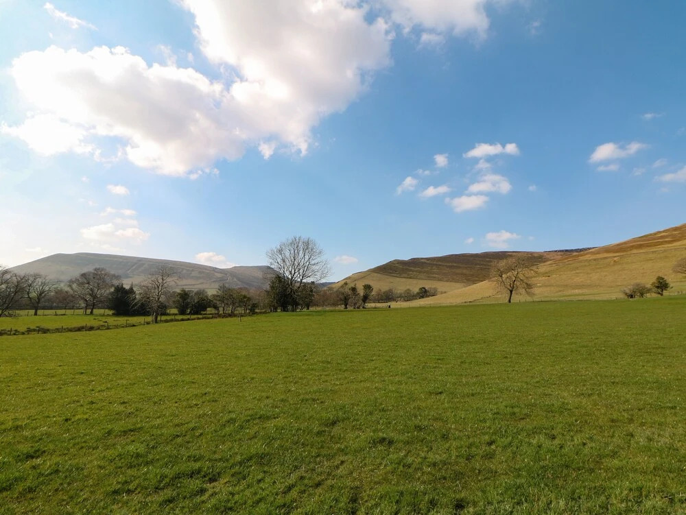 Meadow View