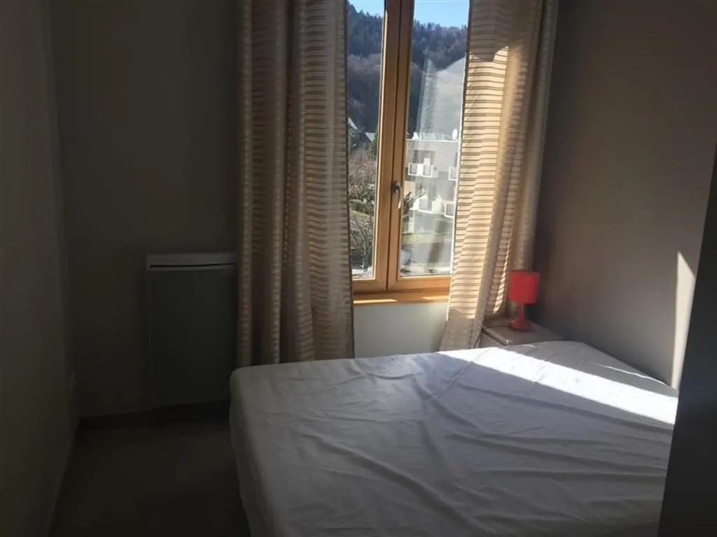 Appartement Mont-Dore, 2 pièces, 4 personnes - FR-1-415-68