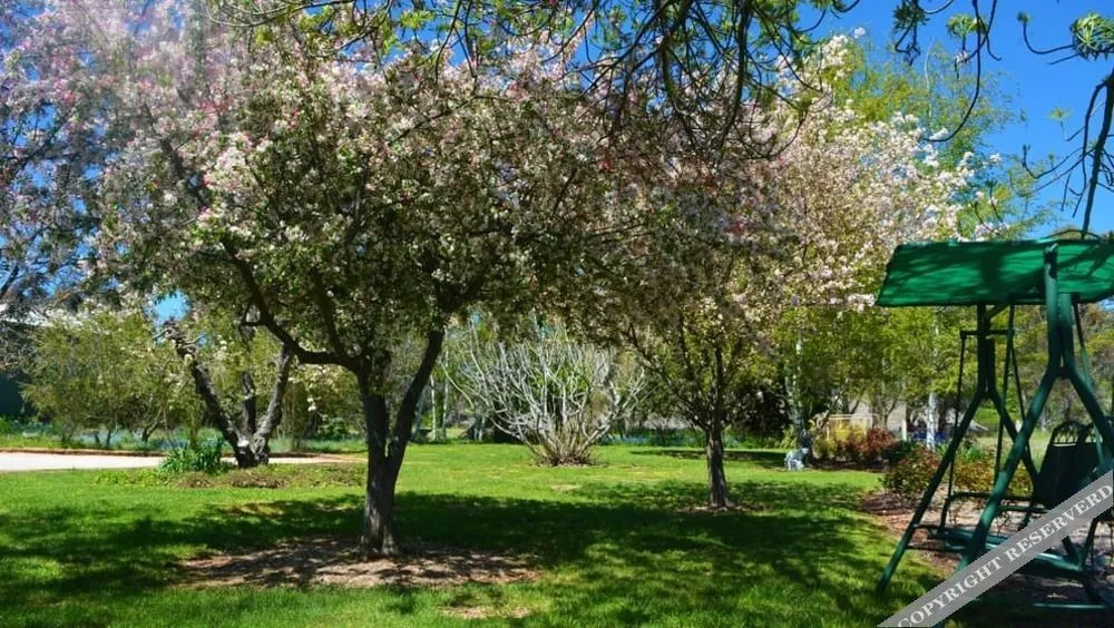 Greentrees Guest House