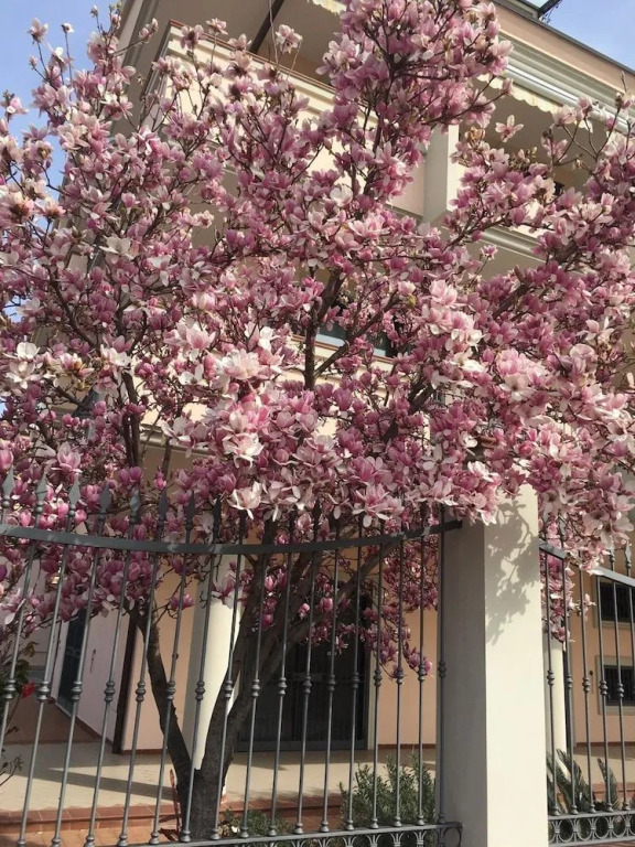 B&B "Alle Corti"