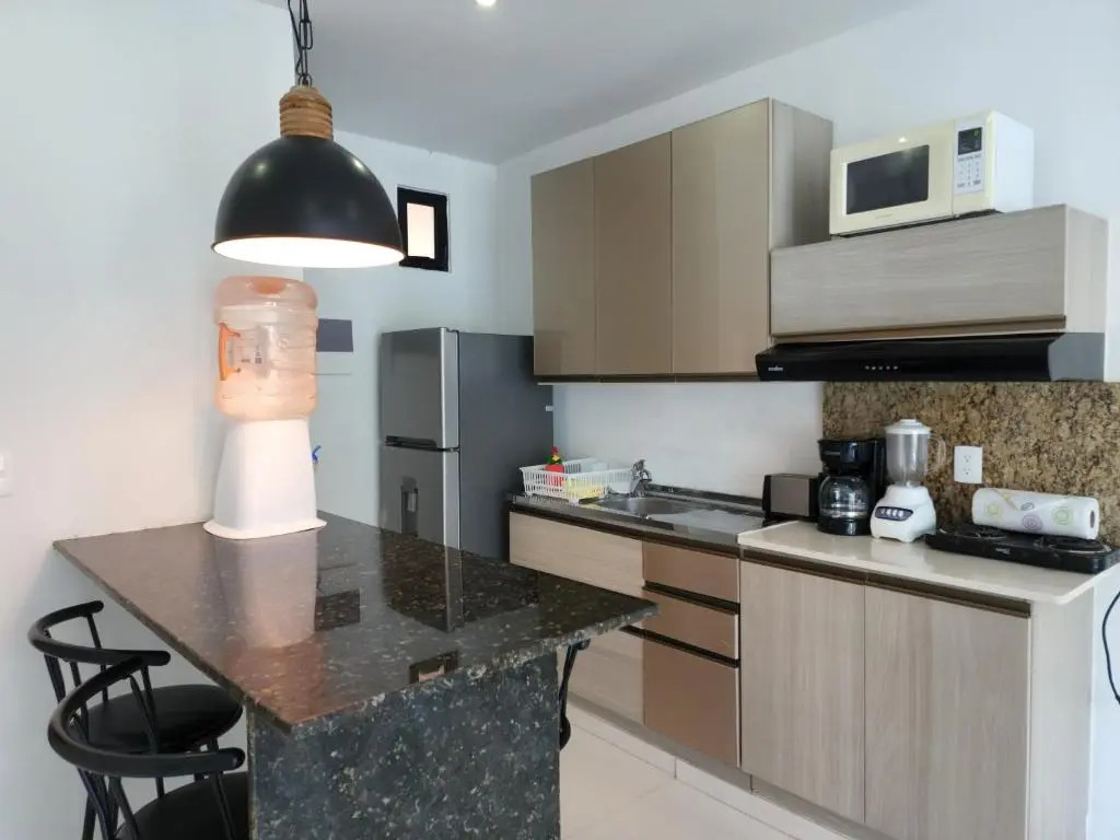 Ocean and city view rooftop, apartment 2BR 101