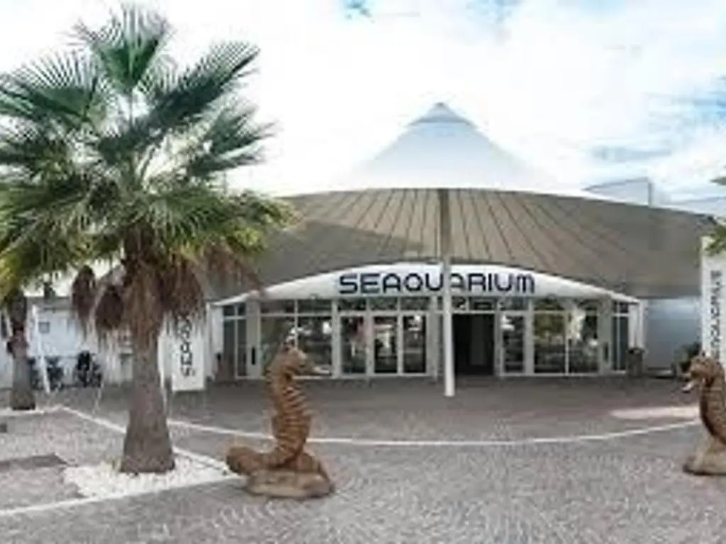 Appartement Le Grau-du-Roi, 1 pièce, 4 personnes - FR-1-307-55