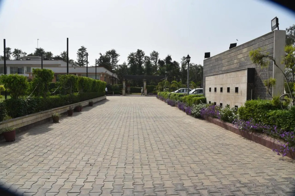 Opulent by Udman Chhattarpur
